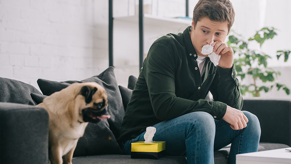 Purchasing an air purifier is one of the smartest ways to enhance your house’s indoor air quality. Discover more about the three best solutions. 